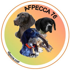 logo AFPECCA