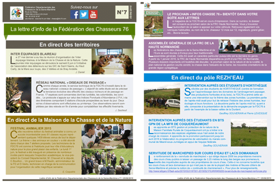07 newsletter