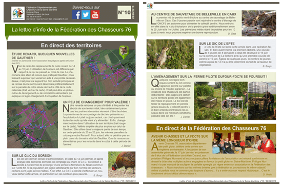 10 newsletter