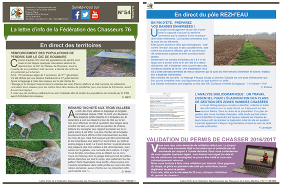 54 newsletter